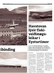 Síða 11