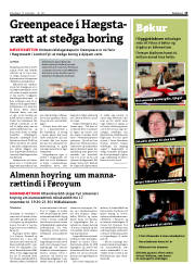 Síða 13