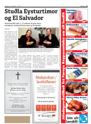 Síða 15