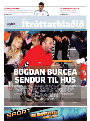 Síða 17