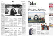 Síða 8