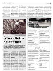 Síða 13