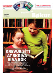Síða 17