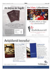 Síða 19