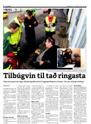 Síða 8
