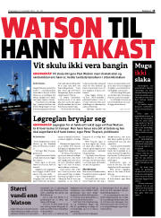 Síða 13