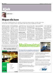 Síða 24