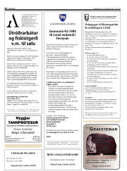 Síða 30