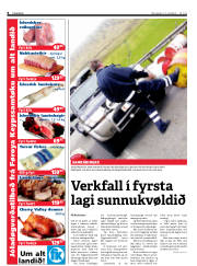 Síða 6