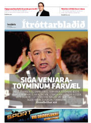Síða 17