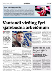 Síða 19