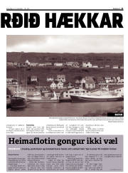 Síða 11