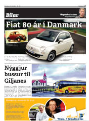 Síða 29