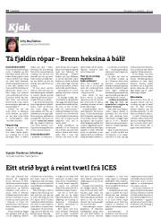 Síða 30