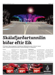 Síða 3