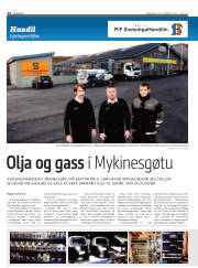 Síða 14