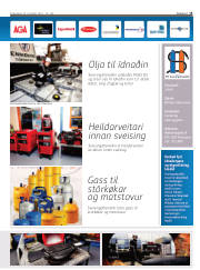 Síða 15