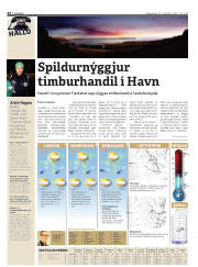 Síða 44