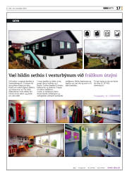 Síða 17