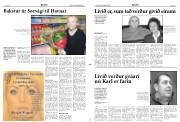 Síða 3