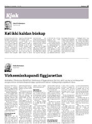 Síða 29