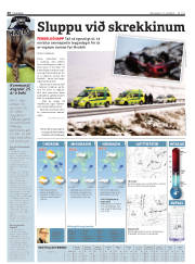 Síða 40