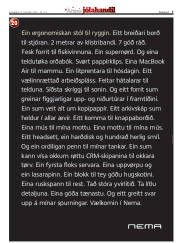 Síða 3