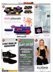 Síða 8