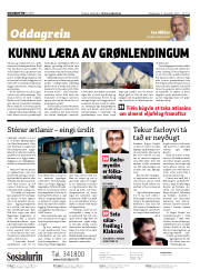 Síða 2