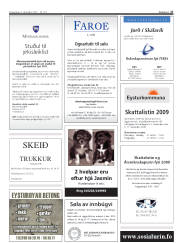 Síða 27
