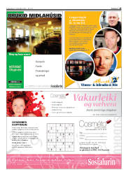 Síða 29
