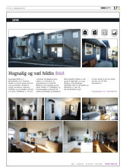 Síða 17