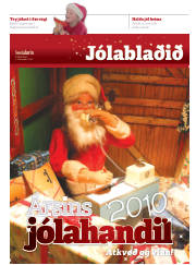 Síða 1