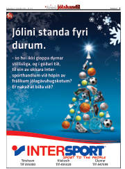 Síða 5