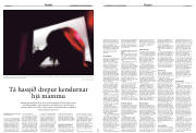 Síða 13