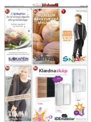 Síða 11