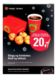 Síða 5
