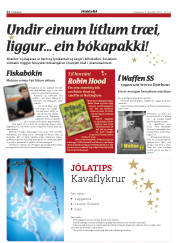 Síða 22