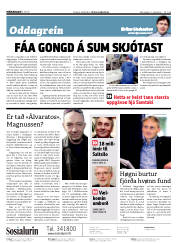 Síða 2