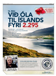 Síða 3