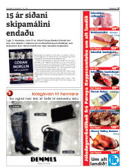 Síða 15