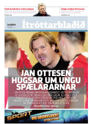 Síða 17