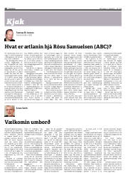 Síða 28