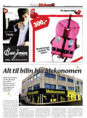Síða 20