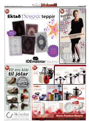 Síða 21