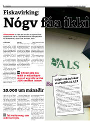 Síða 6