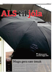 Síða 7