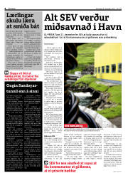 Síða 8