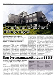 Síða 9