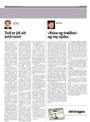 Síða 17